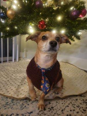 The necktie comes in handy for holiday photos too!