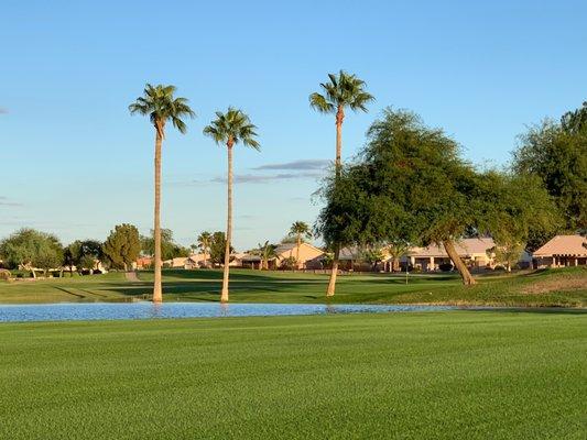 #3 fairway looking to #8 green at sunset