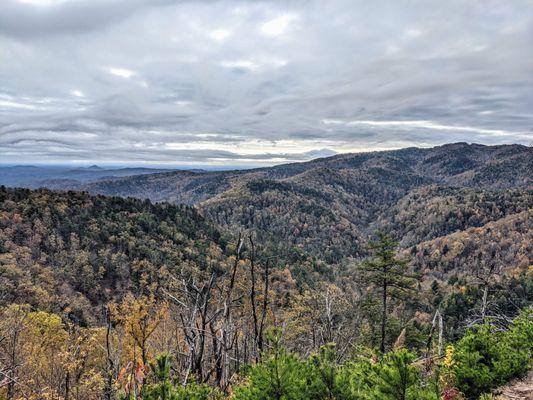 Chestnut Knob Trail