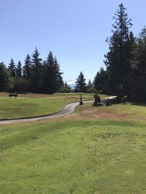 I believe hole #6, par 3, with the awesome backdrop of the snowy Mt Baldy - July 2017