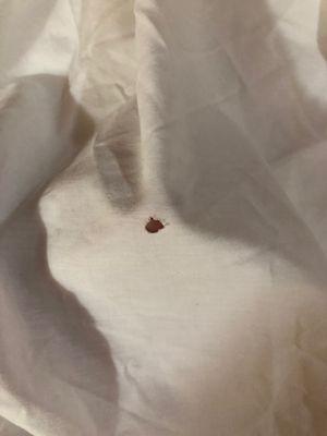 Burn hole in the bedspread