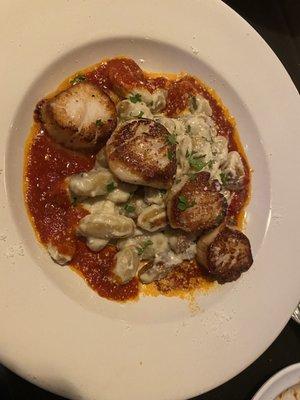 Scallops over gnocchi was superb!