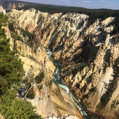 Grand Canyon of Yellowstone