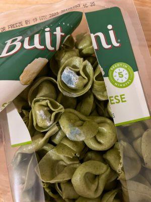 moldy tortellini