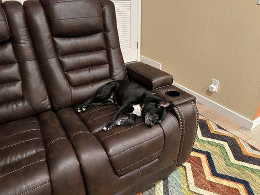 Our dog enjoying our new fancy recliner couch.