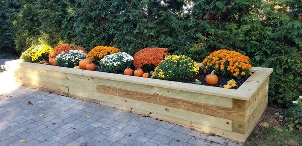 Beautiful raised flowerbed!