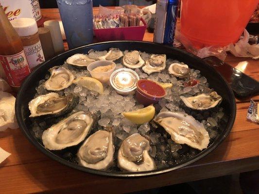 Fresh Oysters