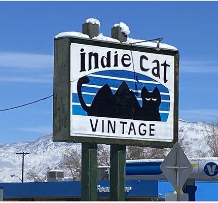 Indie Cat Vintage