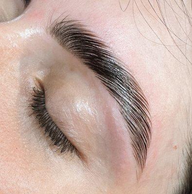 Brow Lamination + Tint done by Audrey