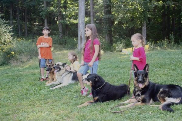 The kids have the dogs on a "down" and are listening for instruction from Tony