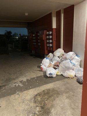 Trash pile on 1st floor near entry gate & elevator