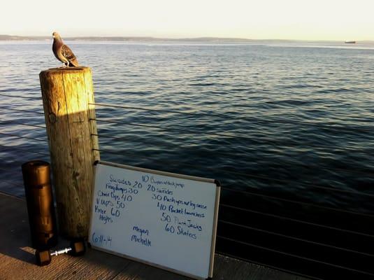 6AM bootcamp at the anchor on Alki. Mondays and Fridays this summer.