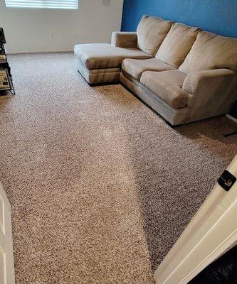 Game room carpet + couch cleaned.