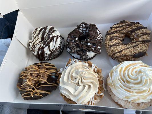 1/2 Dozen Doughology Donuts