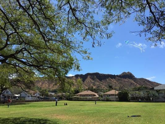 Plenty of green open grass area