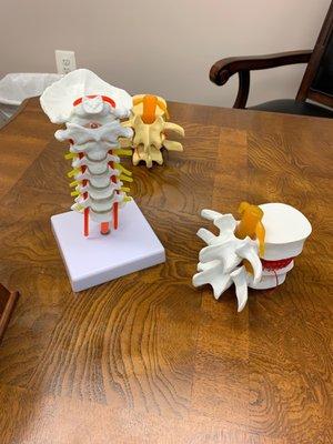 Spine Models