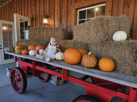 Sweetfields Farm