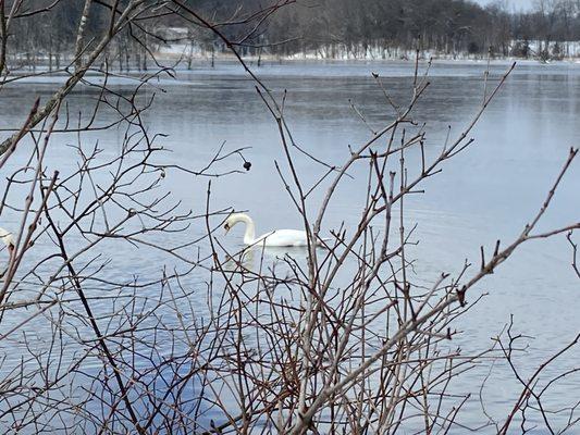 Portman Nature Preserve