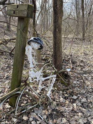 Skeleton on a trail