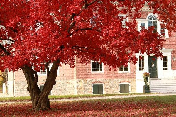 Fall foliage in Kinderhook New   York

Copy write Upgrades Photography 2018