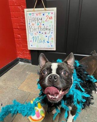 Max's birthday picture