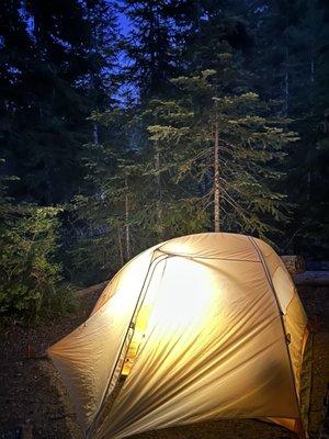 Cougar Rock Campground