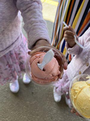 Single scoop of mamey