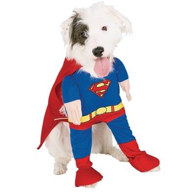 Dr Valese treats all his dogs as if they're Superdog!!