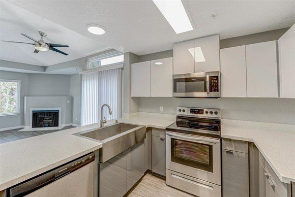 Stainless Steel Appliances & quartz counters