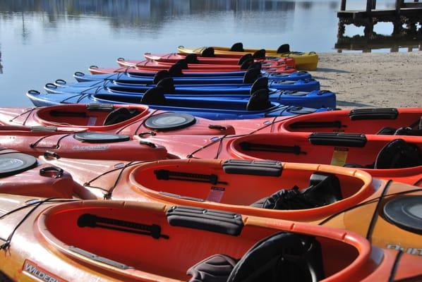 Get out there and explore by kayaking Sarasota!