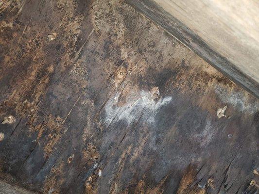 Wood rot under bathroom