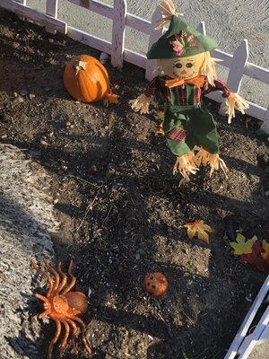 Happy Halloween in front Le Petit Cafe