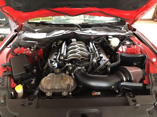 Mustang GT 5.0 engine