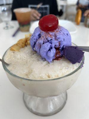 Halo Halo Special