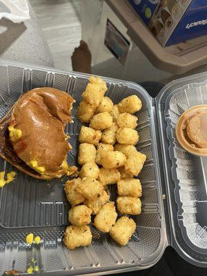 Build Create your own Burger, Tater Tots, Onion Rings