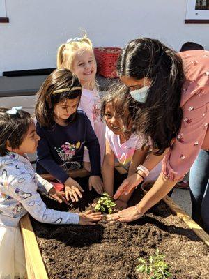 Learning about plants and seeds and how to maintain a garden!