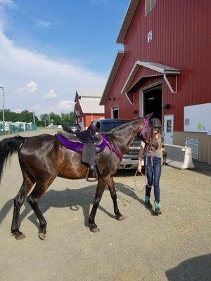 Three County Fair