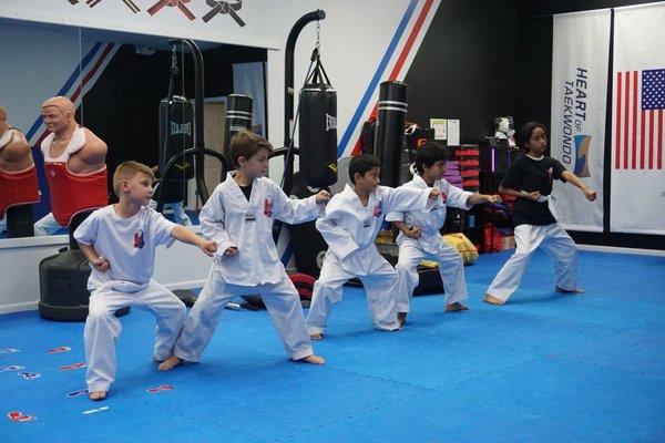 Lion Martial Arts Taekwondo