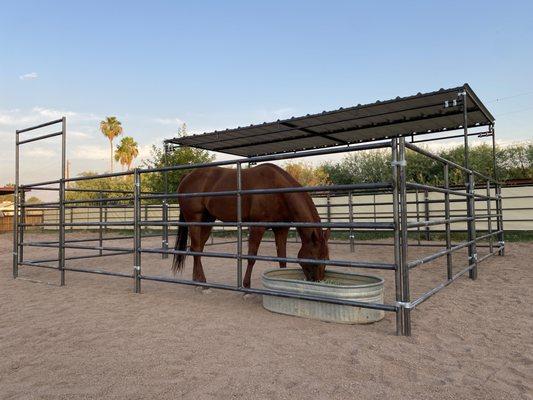 20x20 Stall With 10x20 Shade