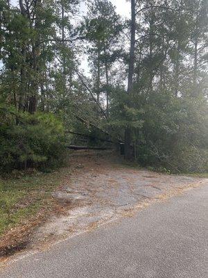 Blocked driveway