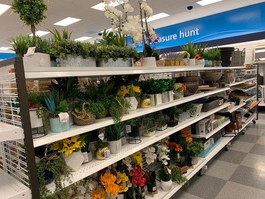 Nice plant selection