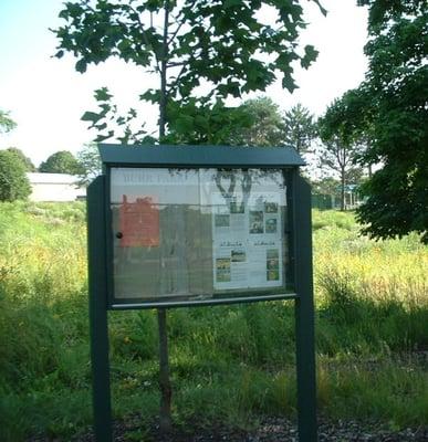 Buhr's "Wet Meadow"