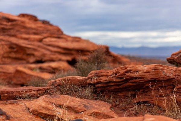 Red Cliffs Desert Reserve