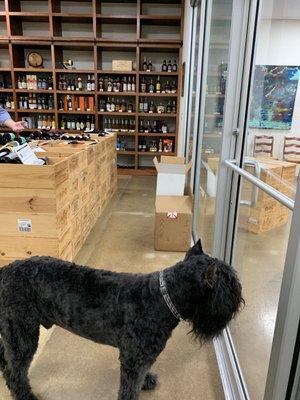 Always a good time here picking out great wine and spending time with the owner's dog Napoleon.