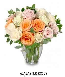 Pastel Mixed Colored Roses