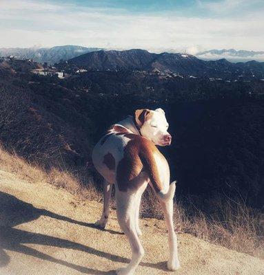 Emma is posing for the cameras:) Runyon Hike