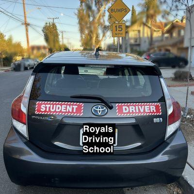 Student Driver signs