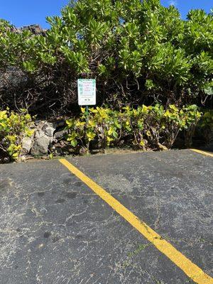 Parking for party package pickup