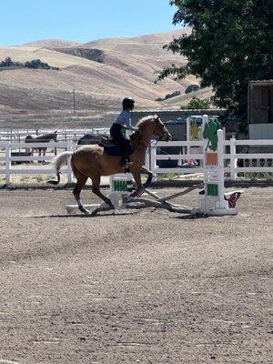 Cerro Vista Ranch and Stables