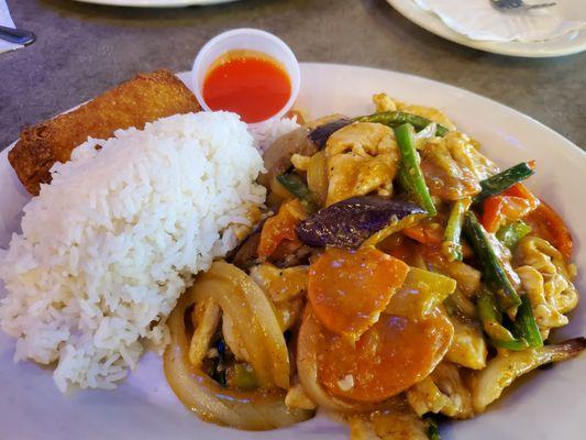 Lunch portion- Thai Curry Chicken with steamed rice